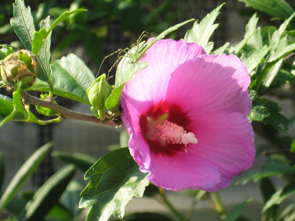 2008-Q3-Sept-052