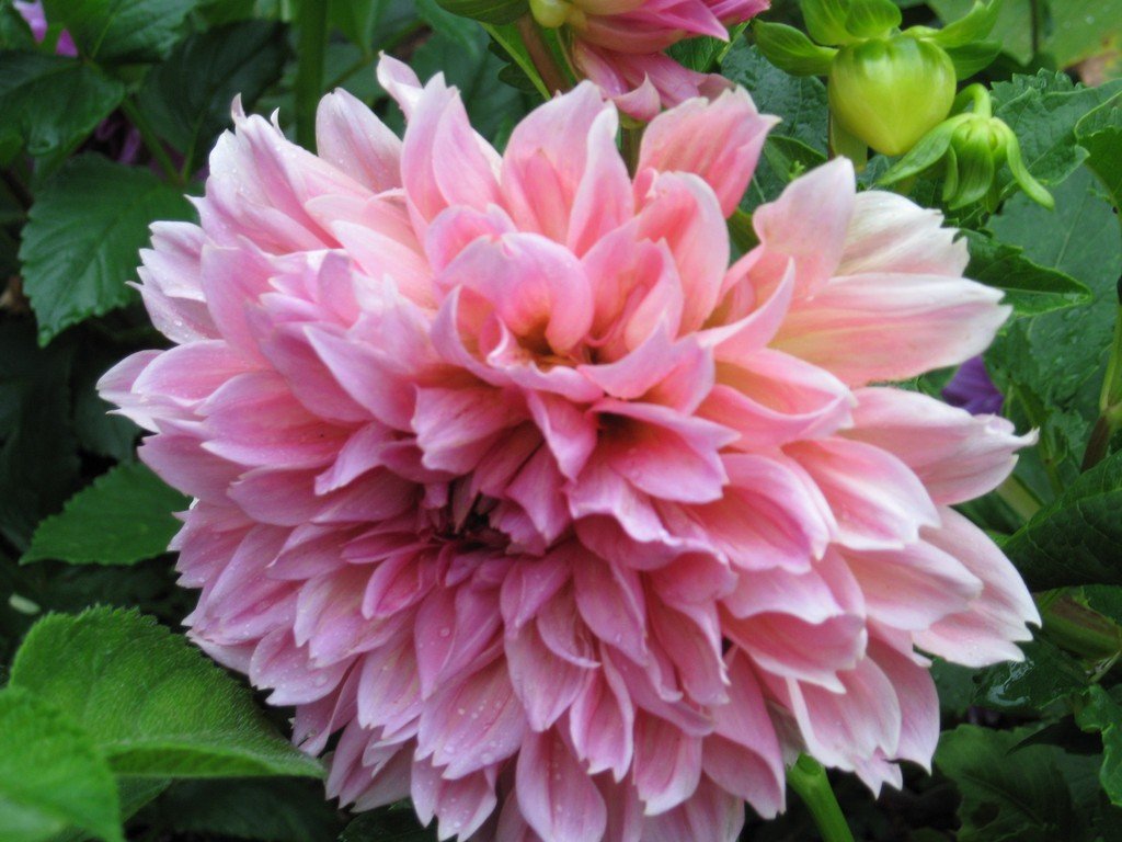 2008-Q3-Sept-123