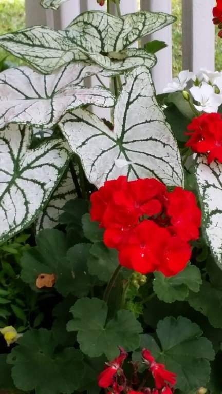 20170627_131516