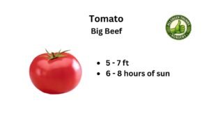Big Beef tomato
