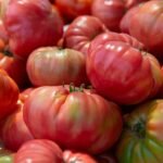 Brandywine-Pink-Tomato
