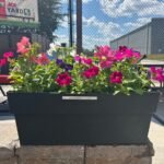 Petunia Deck Planter