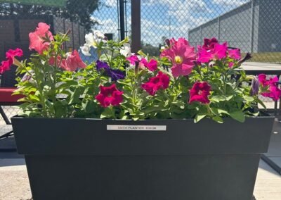 Petunia Deck Planter