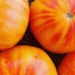 pineapple tomato