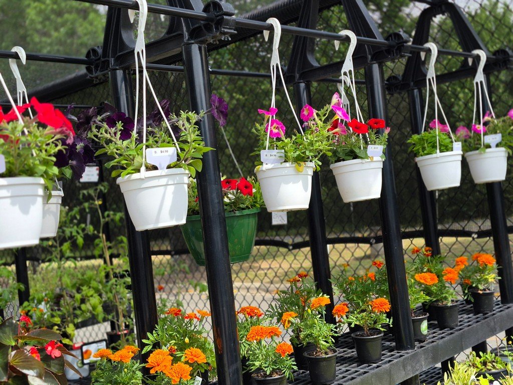 Small Flowering Baskets