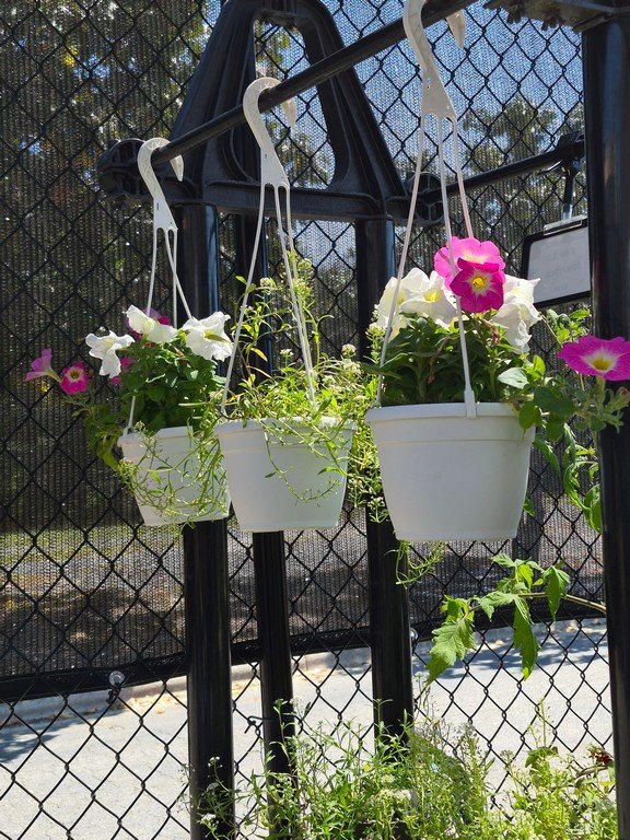 Small Flowering Baskets