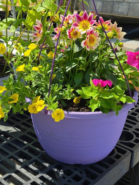 Mothers Day Basket
