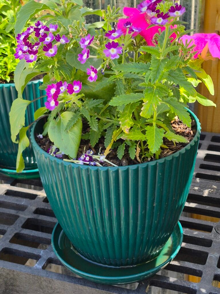 Mother's Day Planter
