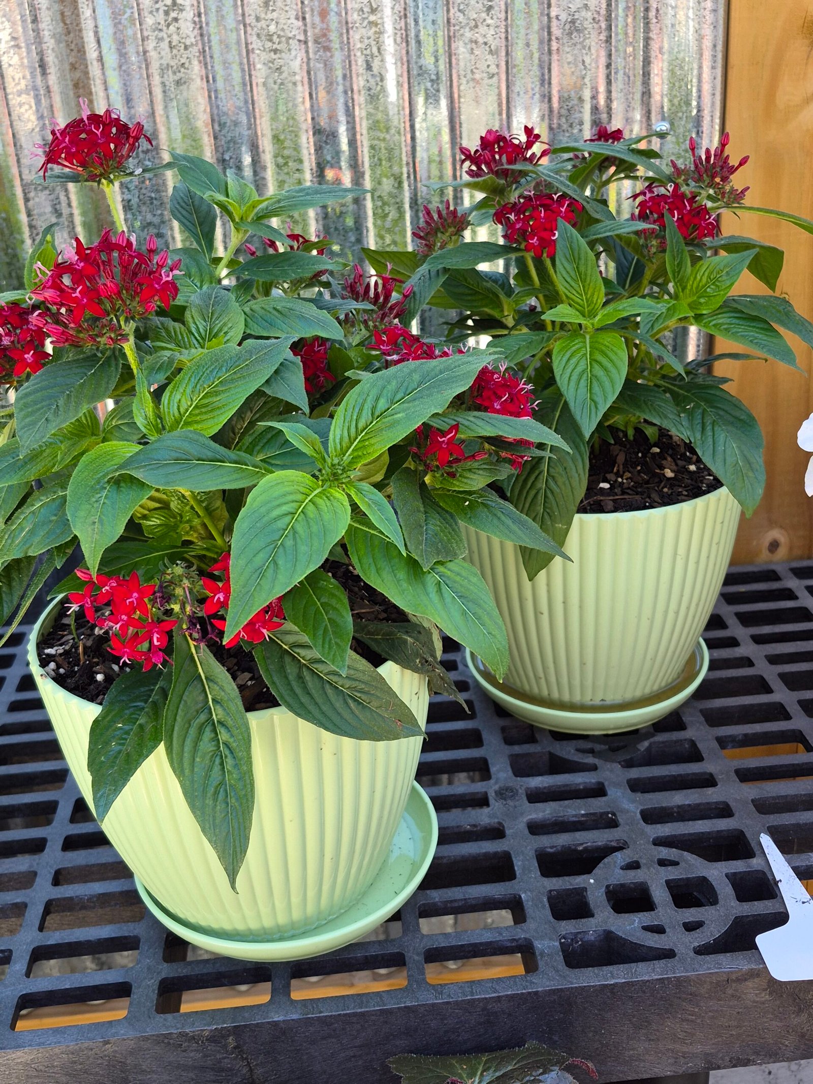 Mother's Day Planter