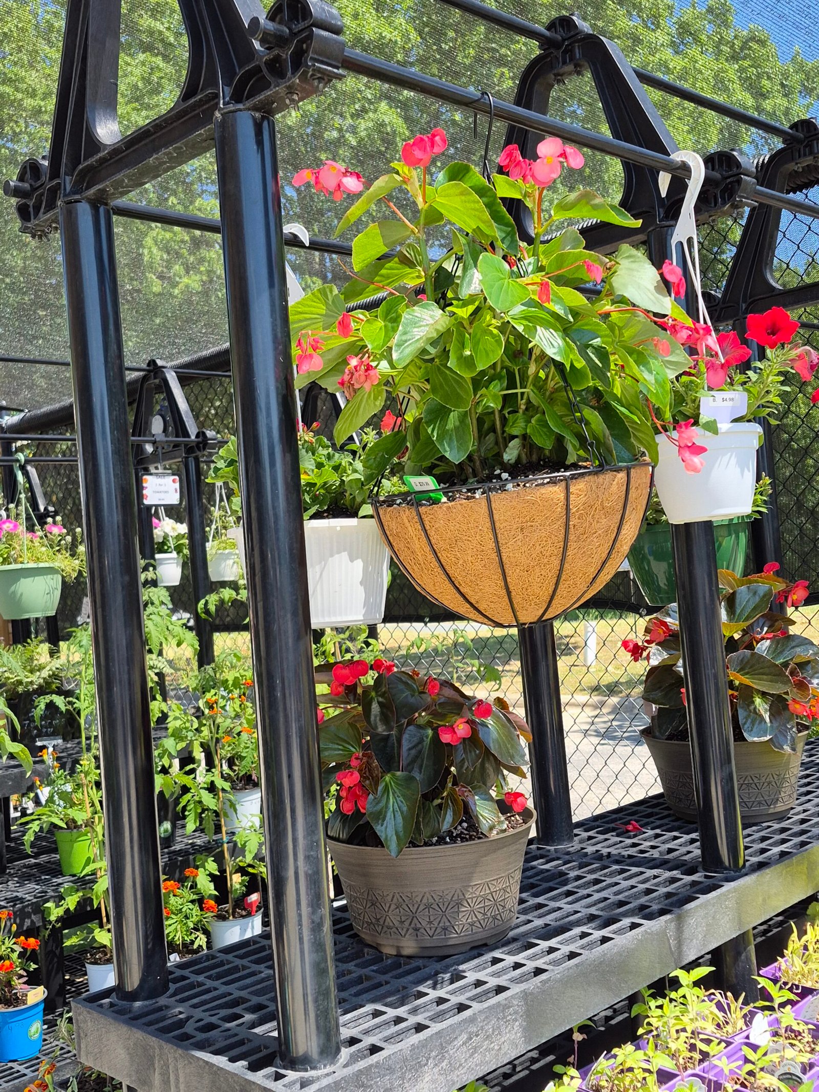 Mother's Day Baskets