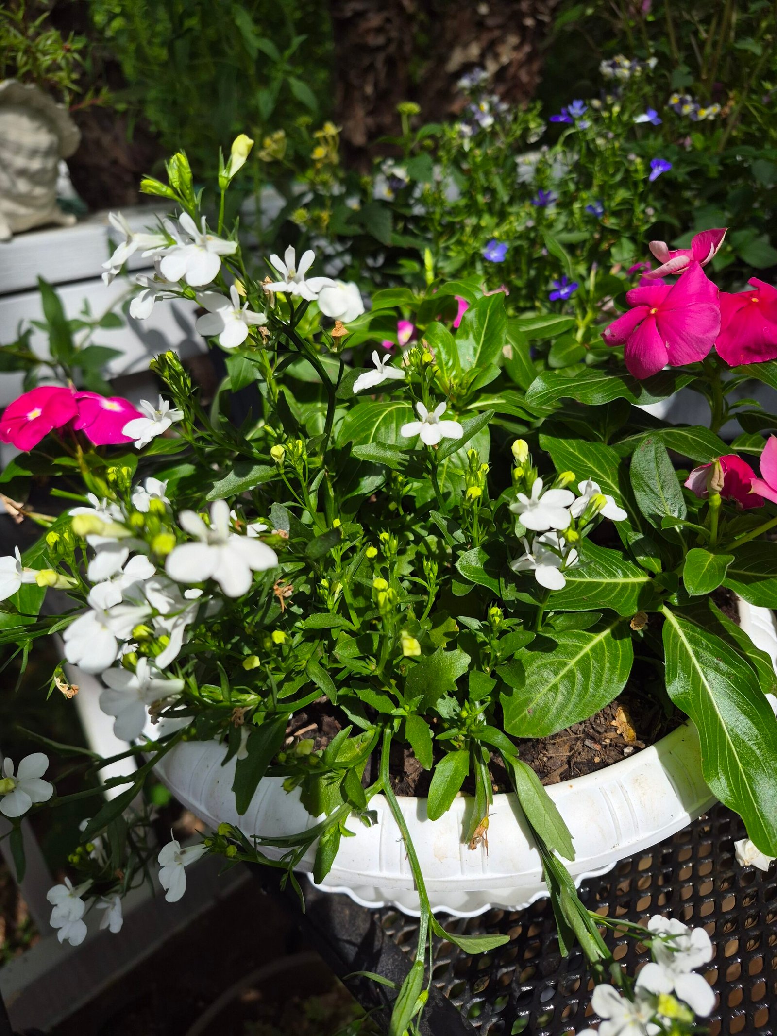 Simple and dainty white basket