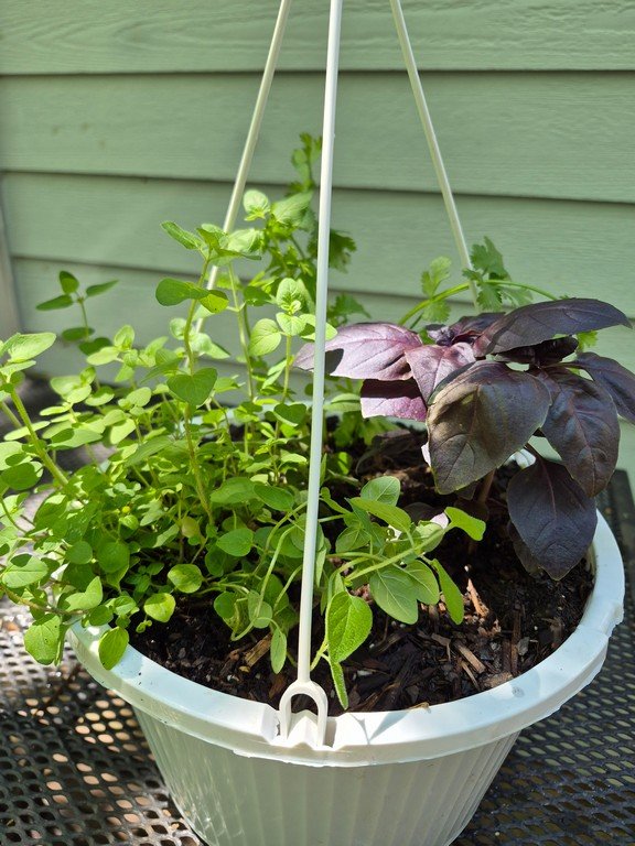 Herb Planter