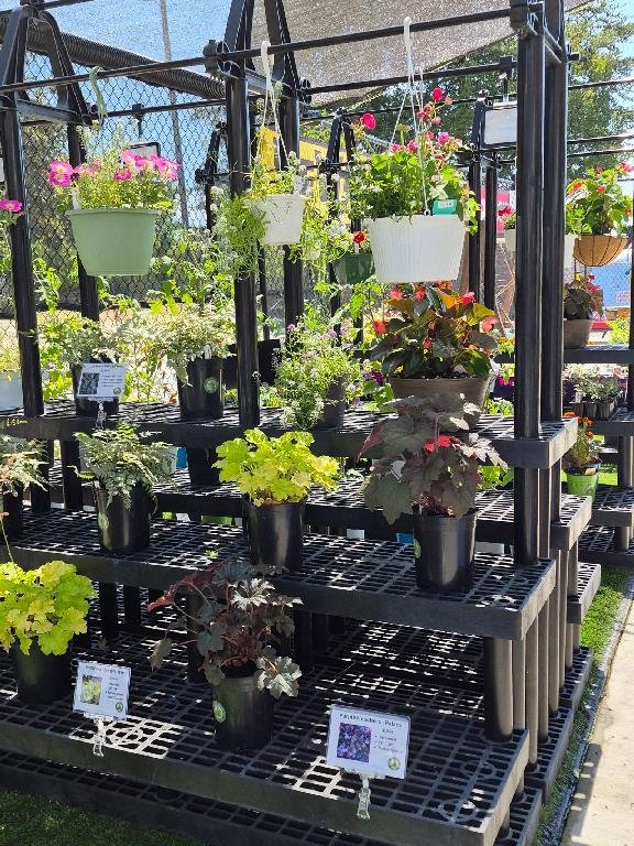 Planters and Hanging Baskets