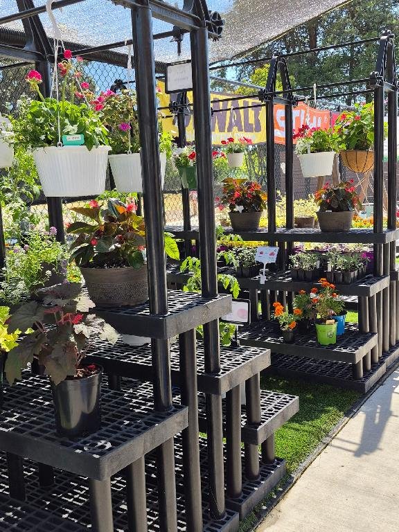 Planters and Hanging Baskets