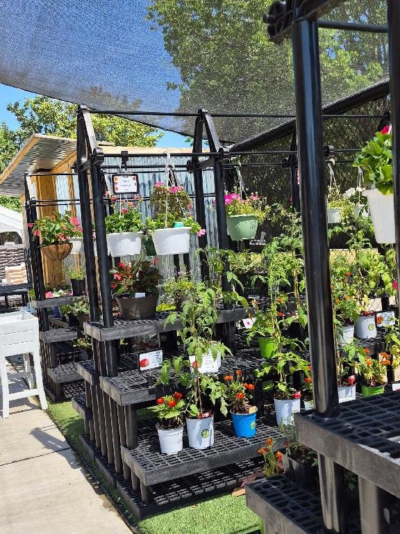 Planters and Hanging Baskets