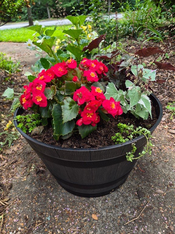 Shade loving deck planters