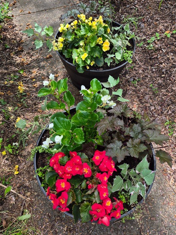 Shade loving deck planters