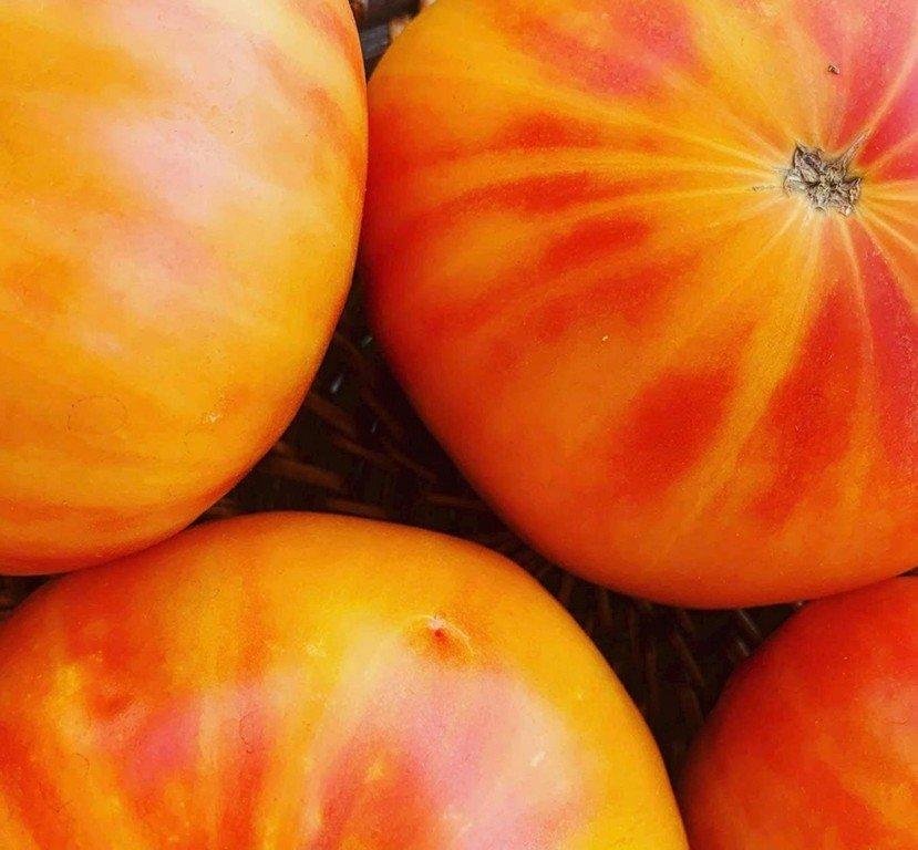 Pineapple Tomato