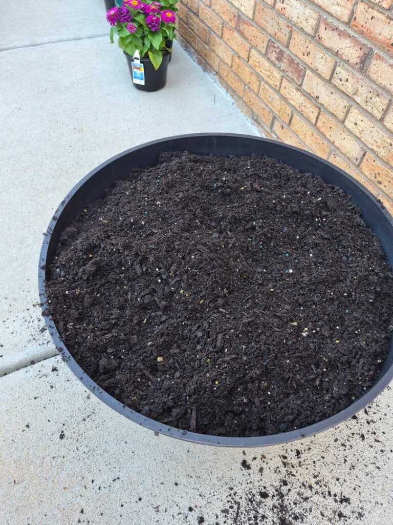 Good quality potting soil is the most critical element of any design.