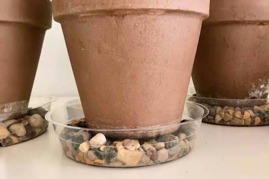 Use stones to elevate pots